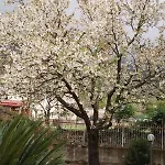 アパート Terrazza Di Elsa *