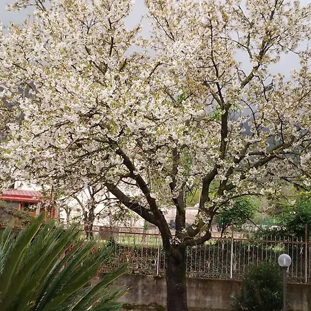 דירה Terrazza Di Elsa *
